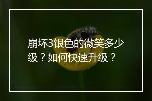 崩坏3银色的微笑多少级？如何快速升级？