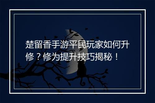 楚留香手游平民玩家如何升修?修为提升技巧揭秘!
