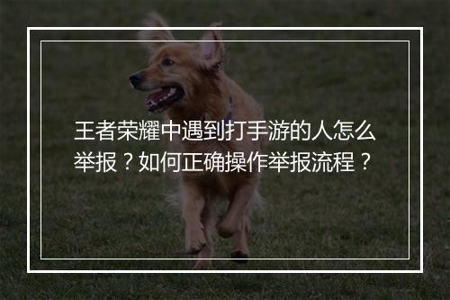 王者荣耀中遇到打手游的人怎么举报？如何正确操作举报流程？