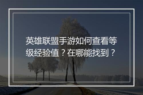 英雄联盟手游如何查看等级经验值？在哪能找到？