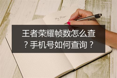 王者荣耀帧数怎么查？手机号如何查询？