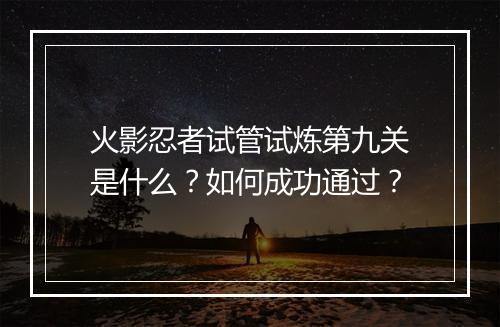 火影忍者试管试炼第九关是什么？如何成功通过？