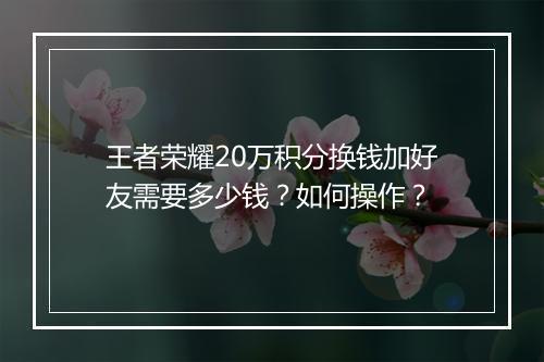 王者荣耀20万积分换钱加好友需要多少钱？如何操作？