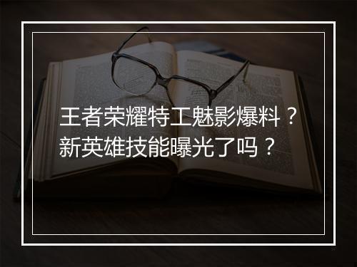 王者荣耀特工魅影爆料？新英雄技能曝光了吗？