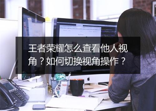 王者荣耀怎么查看他人视角？如何切换视角操作？