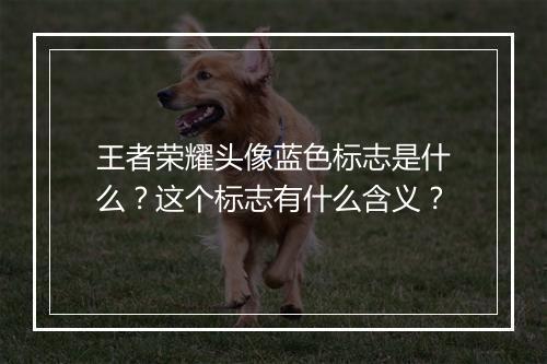 王者荣耀头像蓝色标志是什么？这个标志有什么含义？