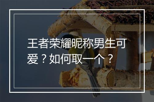王者荣耀昵称男生可爱？如何取一个？
