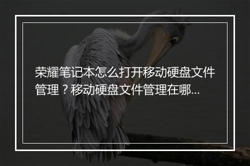 荣耀笔记本怎么打开移动硬盘文件管理？移动硬盘文件管理在哪里开启？