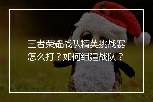 王者荣耀战队精英挑战赛怎么打?如何组建战队?