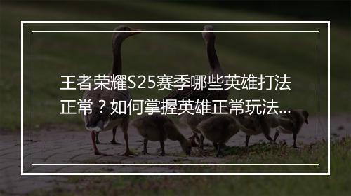 王者荣耀S25赛季哪些英雄打法正常？如何掌握英雄正常玩法？