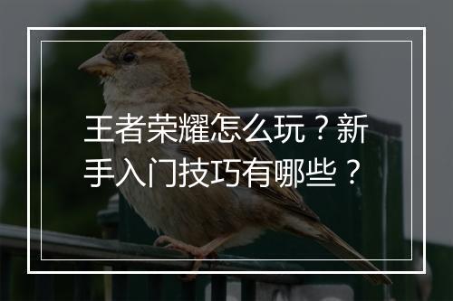 王者荣耀怎么玩？新手入门技巧有哪些？