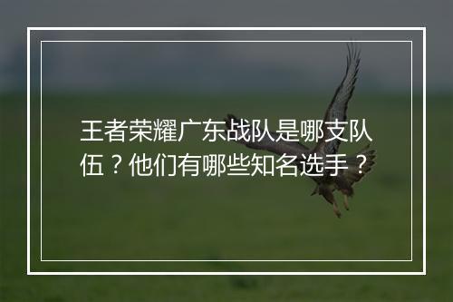 王者荣耀广东战队是哪支队伍？他们有哪些知名选手？