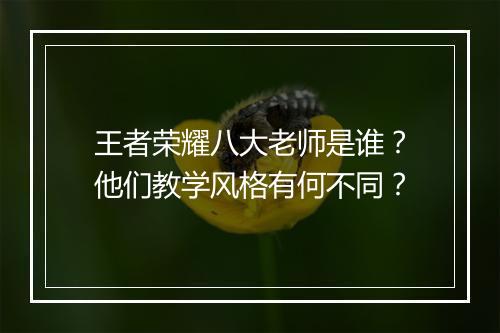 王者荣耀八大老师是谁？他们教学风格有何不同？