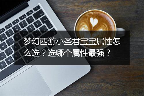 梦幻西游小圣君宝宝属性怎么选？选哪个属性最强？