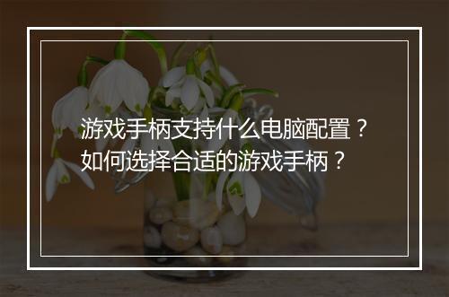 游戏手柄支持什么电脑配置?如何选择合适的游戏手柄?