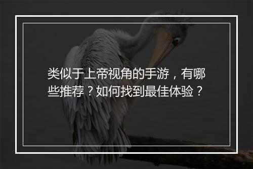 类似于上帝视角的手游，有哪些推荐？如何找到最佳体验？