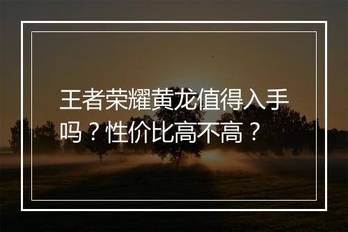 王者荣耀黄龙值得入手吗？性价比高不高？