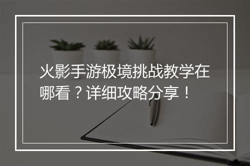 火影手游极境挑战教学在哪看？详细攻略分享！