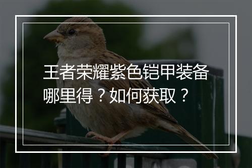 王者荣耀紫色铠甲装备哪里得?如何获取?