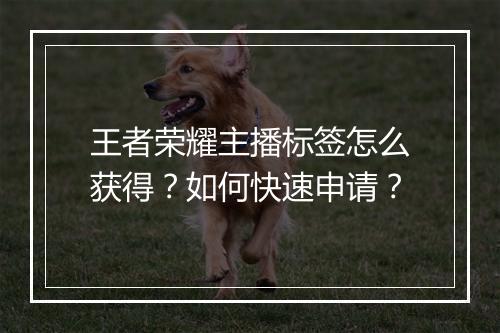 王者荣耀主播标签怎么获得？如何快速申请？