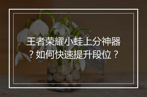 王者荣耀小蛙上分神器？如何快速提升段位？