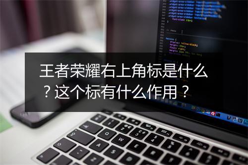 王者荣耀右上角标是什么？这个标有什么作用？
