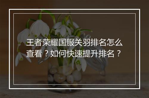 王者荣耀国服关羽排名怎么查看？如何快速提升排名？