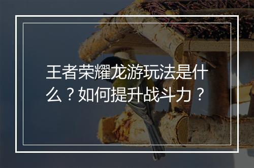 王者荣耀龙游玩法是什么？如何提升战斗力？
