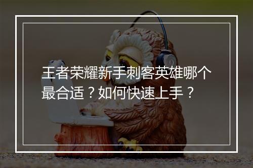 王者荣耀新手刺客英雄哪个最合适？如何快速上手？
