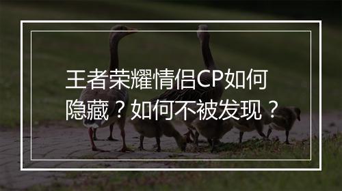 王者荣耀情侣CP如何隐藏？如何不被发现？