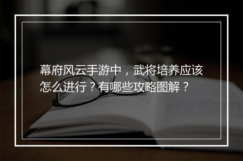 幕府风云手游中，武将培养应该怎么进行？有哪些攻略图解？