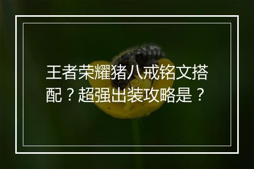 王者荣耀猪八戒铭文搭配？超强出装攻略是？