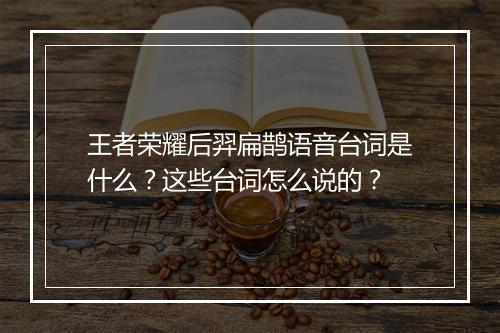 王者荣耀后羿扁鹊语音台词是什么？这些台词怎么说的？