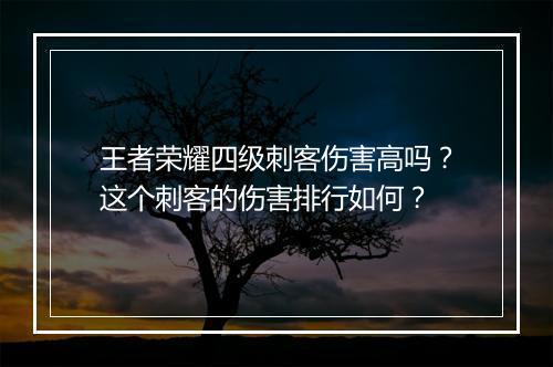 王者荣耀四级刺客伤害高吗?这个刺客的伤害排行如何?