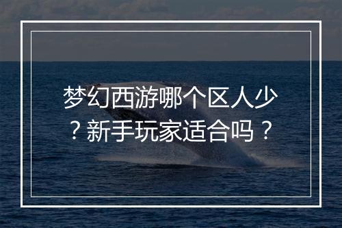梦幻西游哪个区人少？新手玩家适合吗？