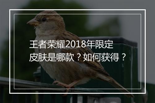 王者荣耀2018年限定皮肤是哪款？如何获得？