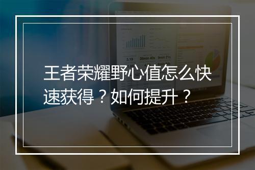王者荣耀野心值怎么快速获得？如何提升？