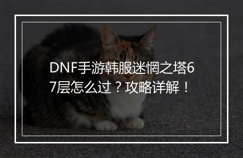 DNF手游韩服迷惘之塔67层怎么过?攻略详解!