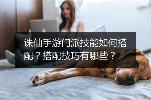 诛仙手游门派技能如何搭配？搭配技巧有哪些？