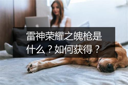 雷神荣耀之魄枪是什么？如何获得？