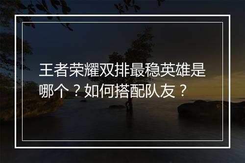 王者荣耀双排最稳英雄是哪个？如何搭配队友？