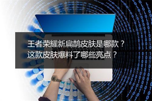 王者荣耀新扁鹊皮肤是哪款？这款皮肤爆料了哪些亮点？