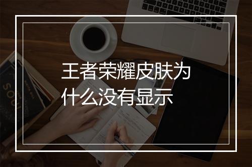 王者荣耀皮肤为什么没有显示