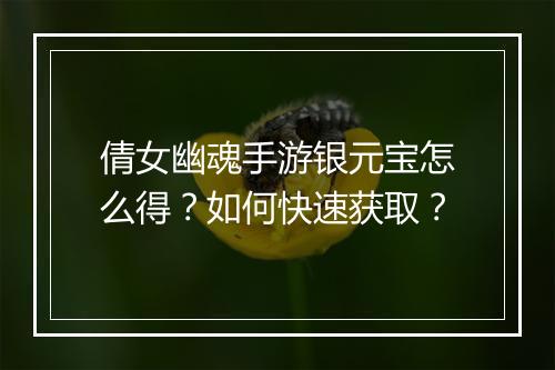 倩女幽魂手游银元宝怎么得？如何快速获取？