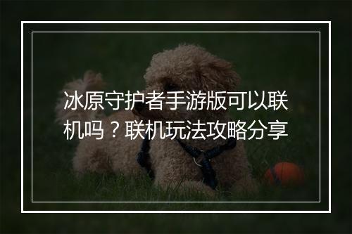 冰原守护者手游版可以联机吗？联机玩法攻略分享