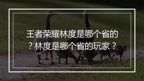 王者荣耀林度是哪个省的？林度是哪个省的玩家？