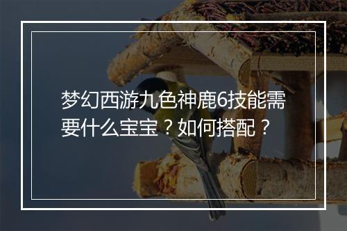 梦幻西游九色神鹿6技能需要什么宝宝？如何搭配？