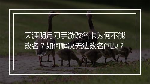 天涯明月刀手游改名卡为何不能改名？如何解决无法改名问题？