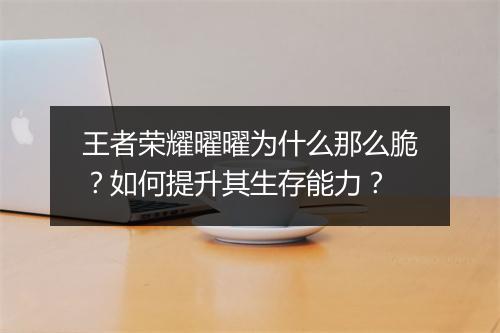 王者荣耀曜曜为什么那么脆?如何提升其生存能力?