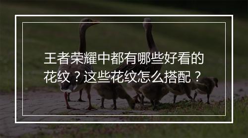 王者荣耀中都有哪些好看的花纹？这些花纹怎么搭配？